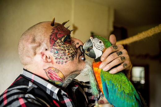 parrot 2